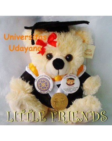 Boneka Wisuda Universitas Udayana - Fisika (25 cm)